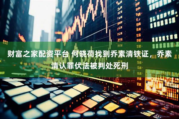 财富之家配资平台 何晓荷找到乔素清铁证，乔素清认罪伏法被判处死刑